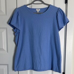 J. Crew Women's Short Sleeve Blue Top